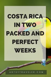 Pinterest graphic with the text "Costa Rica in Two Packed and Perfect Weeks" over a picture of a toucan.