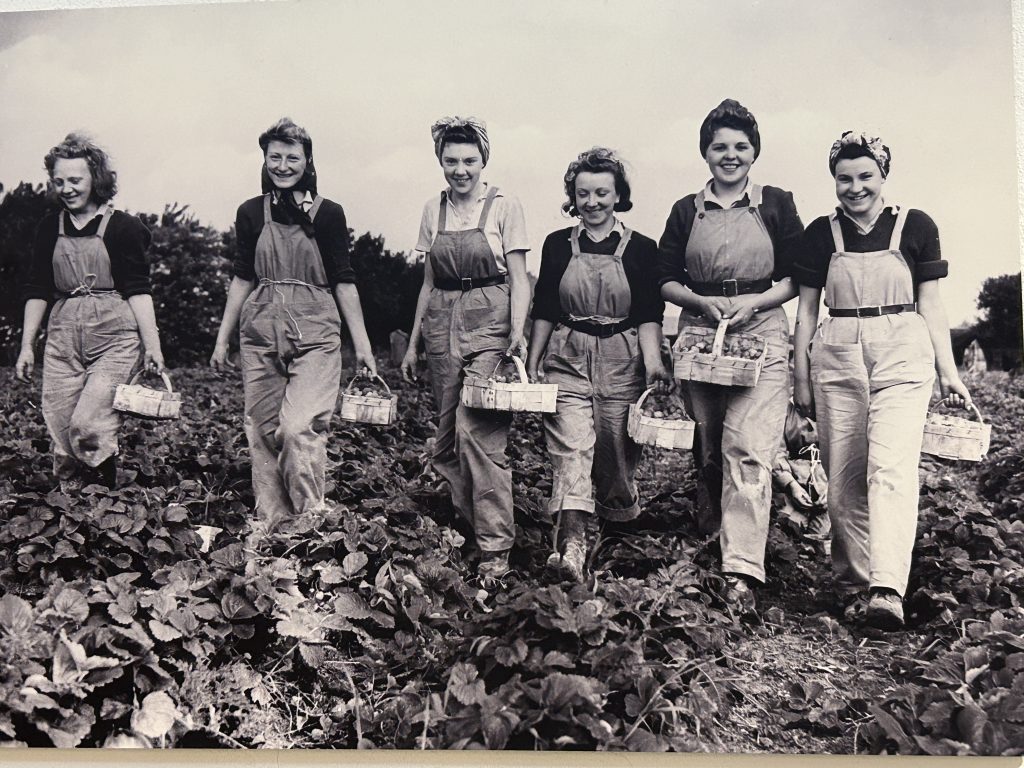 Photograph of five Land Girls, young women who worked the farms during WW II