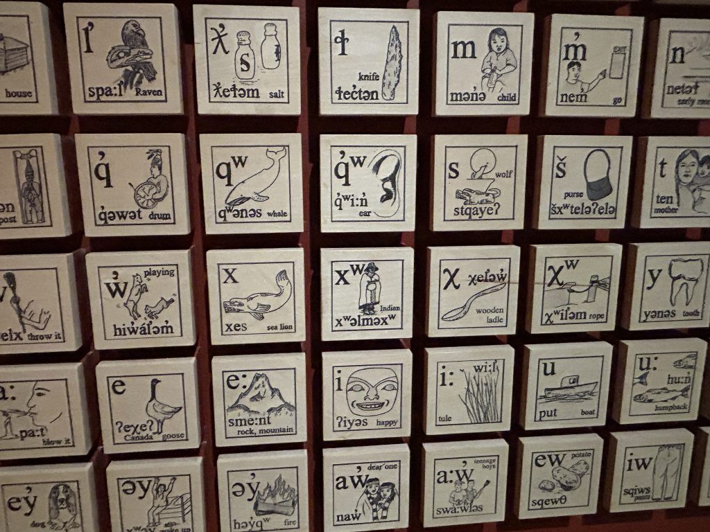 A grid of wooden blocks displaying an indigenous alphabet, with each block featuring a letter, an illustration, and a corresponding English translation, such as "Raven" and "Salt."