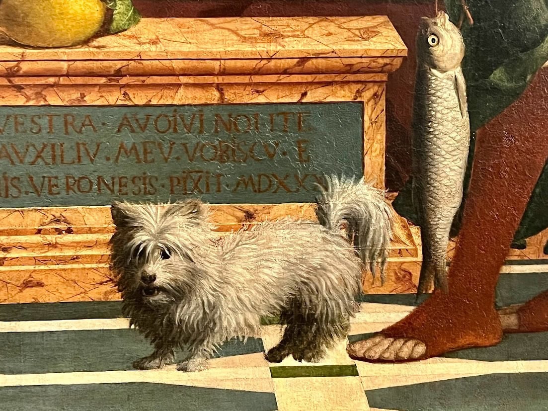 Close-up of a small white dog standing near a detailed inscription, with a fish and human feet visible in the background.